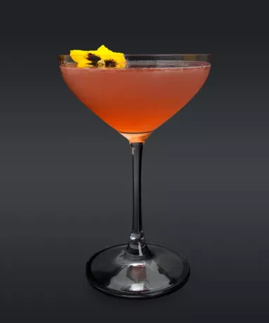 Cosmopolitan